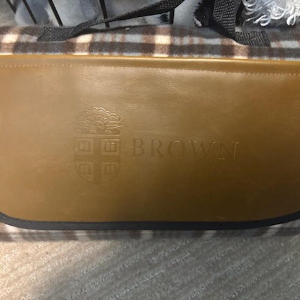 Brown U. Foldable Fleece Picnic Blanket